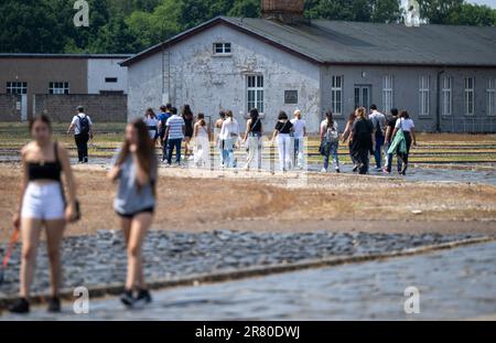 Oranienburg, Deutschland. 18. Juni 2023. Besuchergruppen gehen über das Gelände des ehemaligen Konzentrationslagers Sachsenhausen. Im Juni 1938 haben Kriminalpolizisten mehr als 10.000 Menschen in Konzentrationslager deportiert, wo sie mit einem schwarzen Winkel markiert waren. Die landesweite Verhaftungskampagne richtete sich gegen Menschen, die die Nationalsozialisten als "asozial" bezeichneten. Unter ihnen waren Obdachlose, Alkoholiker und Leute mit Vorstrafen, die unter anderem bettelten. Kredit: Monika Skolimowska/dpa/Alamy Live News Stockfoto