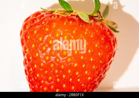 Makrobild einer Gartenerdbeere Stockfoto