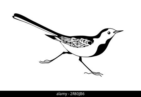 Wagtail-Silhouette auf weißem Hintergrund, Vektordarstellung Stock Vektor