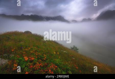 Landschaft mit wunderschönem Nebeltal und Blumen in georgien, Kaukasusgebirge. Stockfoto