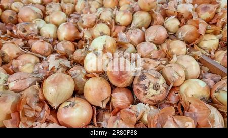 Vollformathintergrund mit verschiedenen bunten, frischen Zwiebeln, die auf dem lokalen Markt zusammengestellt werden Stockfoto