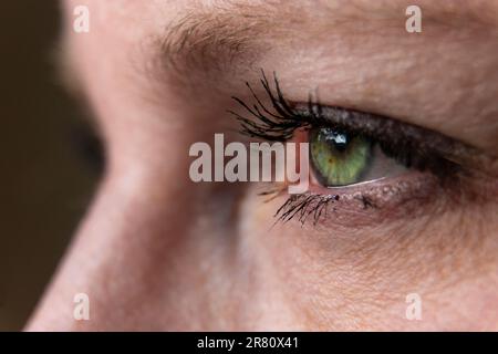 Nahaufnahme des Gesichts der Frau mit grünen Augen Stockfoto
