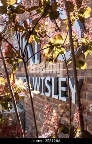 Rechts: Garden Wisley Eingangsschild. Zeitgenössischer Blick auf Cotinus „Candy Floss“ am Eingang zum RHS Horticultural Garden Wisley Surrey UK Stockfoto