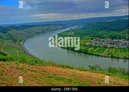 Luftaufnahme auf den Rhein bei Boppard, Deutschland Stockfoto