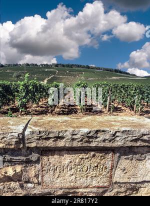 IN RICHEBOURG gravierte Steintafel an der Grenzwand des feinen Weinguts Grand Cru Richebourg der DRK Domaine de la Romanee-Conti Vosne-Romanee, Burgund Stockfoto