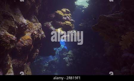 Sonnenschein durchdringt die Unterwasserkorallenhöhle und beleuchtet sie. Tropische Fische schwimmen in Korallenhöhlen in den Sonnenstrahlen, die von der Oberfläche durchdringen, Rot Stockfoto