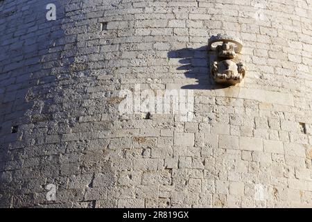 Blick und Details der Basilica Cattedrale Metropolitana, Bari Stockfoto