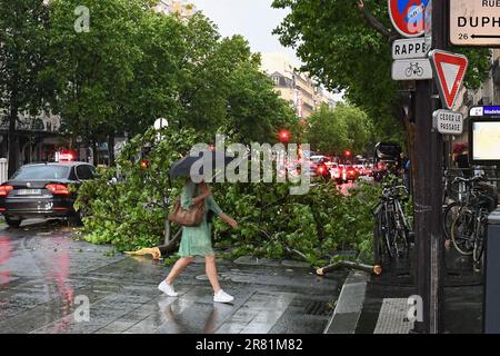 Paris, Frankreich. 18. Juni 2023. Heftige Stürme treffen die Hauptstadt in Paris, Frankreich, am 18. Juni 2023. Gebrochene Äste Boulevard de la Madeleine in Paris nach der Sintflut, die auf Paris und die Ile de France fiel, Sonntag, den 18. Juni 2023 am Ende des Tages, begleitet von starken Windböen. Foto: Lionel Urman/ABACAPRESS.COM Kredit: Abaca Press/Alamy Live News Stockfoto