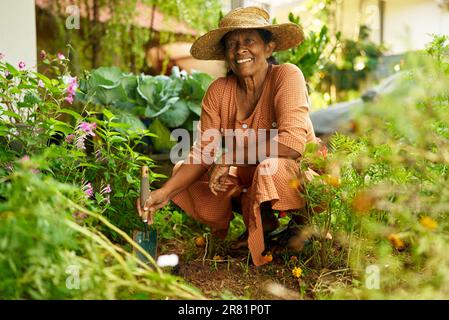 Ältere indische Farmerin lächelt im Obstgarten und pflanzt Blumen in den Boden. Eine ältere, srilankische, glückliche Frau in ihrem Garten, die sich um sie kümmert Stockfoto