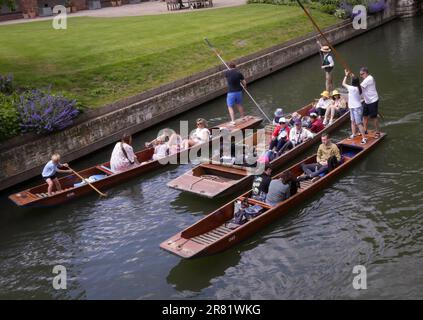 Editorial Cambridge, UK - 03. Juni 2023: Touristen genießen einen Punt am Fluss Cam in der Universitätsstadt Cambridge in England Stockfoto
