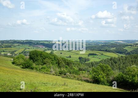 High Bickington, North Devon, England, Vereinigtes Königreich. Stockfoto