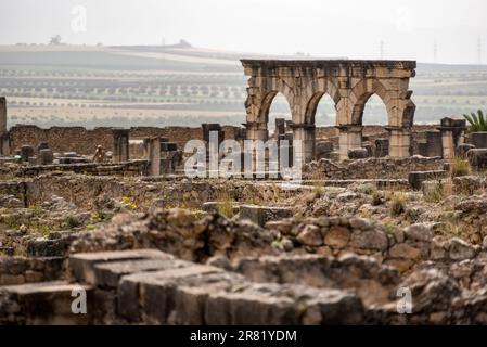 Ruinen der antiken römischen Stadt Volubilis in Marokko, Nordafrika Stockfoto