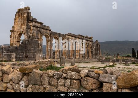 Berühmte Ruinen des Forums in Volubilis, einer alten römischen Stadt in Marokko, Nordafrika Stockfoto