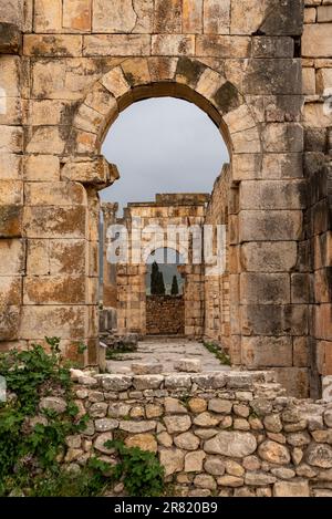 Berühmte Ruinen des Forums in Volubilis, einer alten römischen Stadt in Marokko, Nordafrika Stockfoto