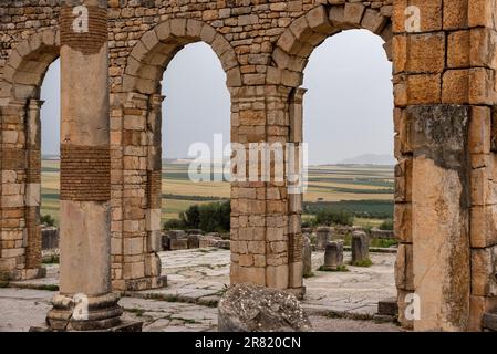 Berühmte Ruinen des Forums in Volubilis, einer alten römischen Stadt in Marokko, Nordafrika Stockfoto