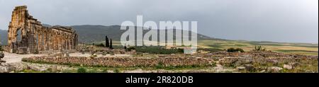 Berühmte Ruinen des Forums in Volubilis, einer alten römischen Stadt in Marokko, Nordafrika Stockfoto