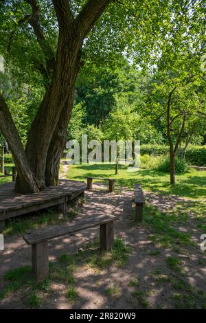 Gemeindegarten im Reddish Vale Country Park, Stockport, Greater Manchester, England. Stockfoto