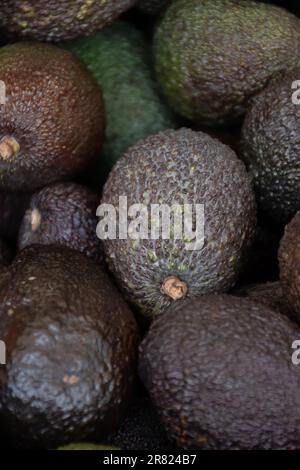 Viele frische, reife grüne Bio-Avocados in Schachteln auf dem spanischen Bauernmarkt. Stockfoto