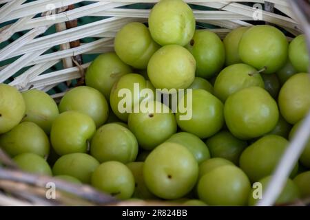 Grüne türkische Pflaume kann erik im Korb aus nächster Nähe sehen Stockfoto