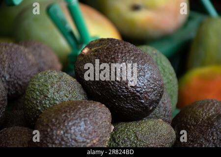 Viele frische, reife grüne Bio-Avocados in Schachteln auf dem spanischen Bauernmarkt. Stockfoto