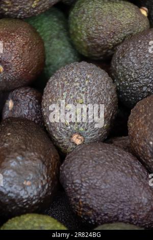 Viele frische, reife grüne Bio-Avocados in Schachteln auf dem spanischen Bauernmarkt. Stockfoto