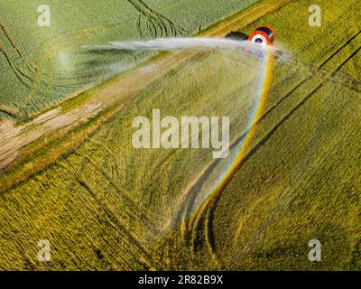 Bewässerungssystem auf einem Feld mit Wasserstrahl und Regenbogen von oben mit einer Drohne gesehen Stockfoto