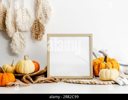 Holzrahmen mit orangefarbenen, reifen Kürbissen, Einrichtung im skandinavischen Stil und Kopienmodell. Halloween-Vorlage für Hausdekoration Stockfoto