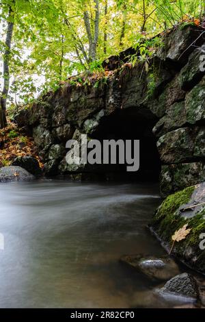 Eine ruhige Landschaft mit einem gewundenen Bach, der durch einen üppigen Wald fließt, umgeben von einer Felswand Stockfoto