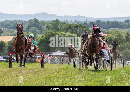 Vickerstown, Co Laois, Irland. 18. Juni 2023. Die Irish Harness Racing Association (IHRA) veranstaltete heute das erste Rennen überhaupt in Vickerstown. Eine 9-Dollar-Rennkarte erwies sich bei vielen Zuschauern als beliebt. Der Sieger des sechsten Rennens war „Said to be Sweet“, angetrieben von Billy Roche. Kredit: AG News/Alamy Live News Stockfoto