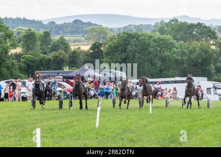 Vickerstown, Co Laois, Irland. 18. Juni 2023. Die Irish Harness Racing Association (IHRA) veranstaltete heute das erste Rennen überhaupt in Vickerstown. Eine 9-Dollar-Rennkarte erwies sich bei vielen Zuschauern als beliebt. Sieger des siebten Rennens war „Hallow Way Road“, gefahren von Patrick Hill. Kredit: AG News/Alamy Live News Stockfoto