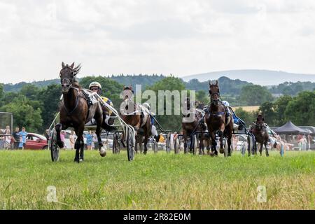 Vickerstown, Co Laois, Irland. 18. Juni 2023. Die Irish Harness Racing Association (IHRA) veranstaltete heute das erste Rennen überhaupt in Vickerstown. Eine 9-Dollar-Rennkarte erwies sich bei vielen Zuschauern als beliebt. Gewinner des letzten Rennens war „Fairplay Briolais“, angetrieben von Ronan Norton. Kredit: AG News/Alamy Live News Stockfoto