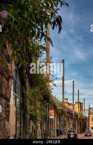 Newcastle ist eine Stadt im Nordosten Englands, am Ufer des Flusses Tyne, berühmt für ihr industrielles Erbe, etc Stockfoto