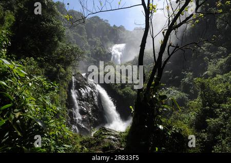 Cachoeira do Veado, gelegen im Serra da Bocaina Nationalpark, im Staat São Paulo, Brasilien. Stockfoto