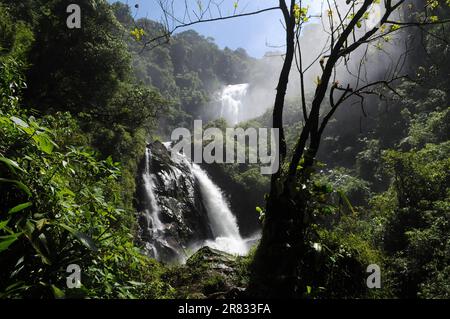 Cachoeira do Veado, gelegen im Serra da Bocaina Nationalpark, im Staat São Paulo, Brasilien. Stockfoto