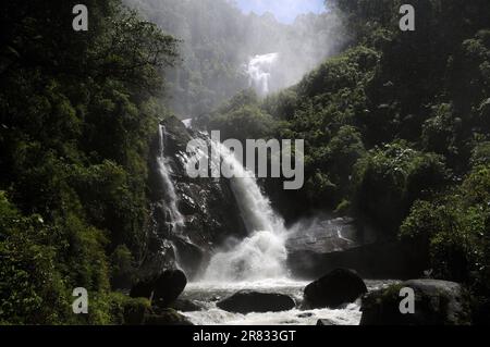 Cachoeira do Veado, gelegen im Serra da Bocaina Nationalpark, im Staat São Paulo, Brasilien. Stockfoto