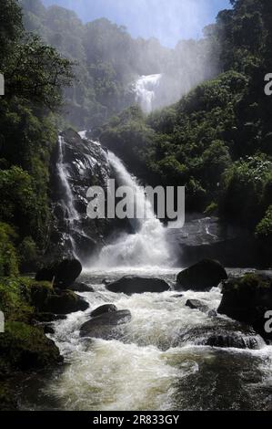 Cachoeira do Veado, gelegen im Serra da Bocaina Nationalpark, im Staat São Paulo, Brasilien. Stockfoto