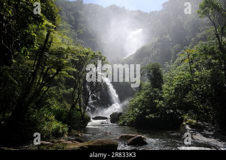 Cachoeira do Veado, gelegen im Serra da Bocaina Nationalpark, im Staat São Paulo, Brasilien. Stockfoto