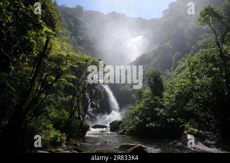 Cachoeira do Veado, gelegen im Serra da Bocaina Nationalpark, im Staat São Paulo, Brasilien. Stockfoto