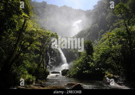 Cachoeira do Veado, gelegen im Serra da Bocaina Nationalpark, im Staat São Paulo, Brasilien. Stockfoto