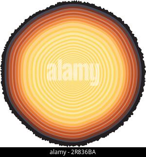 Bearbeitbares Vektor-Illustration der Jahrringe auf einem 67 Jahre alten Baumstumpf Stock Vektor