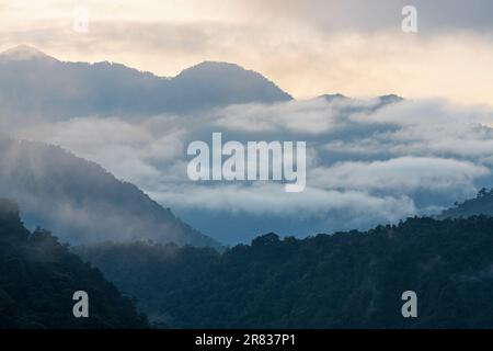 MINDO Wolkenwald bei Sonnenaufgang in Nebel und Nebel, Mindo, Quito, Ecuador. Stockfoto