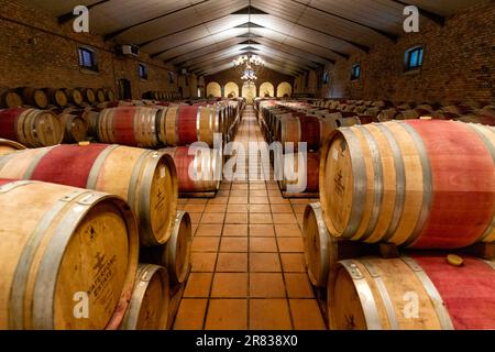 Cathedral Cellar im Waterford Estate im Blaauwklippen Valley an den Hängen des Helderberger Berges - Stellenbosch, Winelands in der Nähe von Kapstadt, so Stockfoto