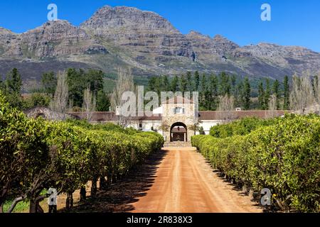 Eintritt zum Waterford Estate im Blaauwklippen Valley an den Hängen des Helderbergs - Stellenbosch, Weinanbaugebiete in der Nähe von Kapstadt, Süd Stockfoto