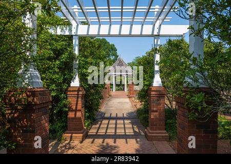 Gartenlaube und Gartenlaube im wunderschönen State Botanical Garden of Georgia in Athen, Georgia. (USA) Stockfoto