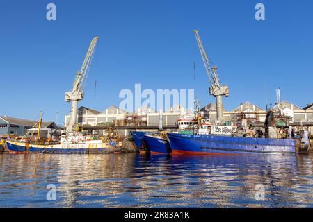 Gewerbliche Fischerboote im Hafen an der V&A Waterfront - Kapstadt, Südafrika Stockfoto