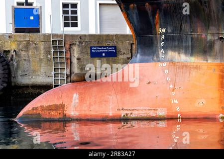 Kapfellrobbe (Arctocephalus pusillus), die auf dem Schiff an der V&A Waterfront - Kapstadt, Südafrika ruht Stockfoto