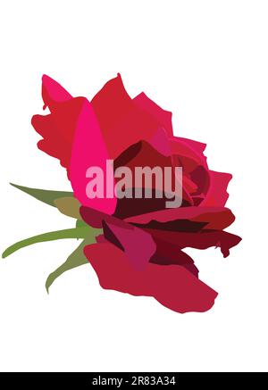 Roter Rosenvektor auf weißem Hintergrund Stock Vektor