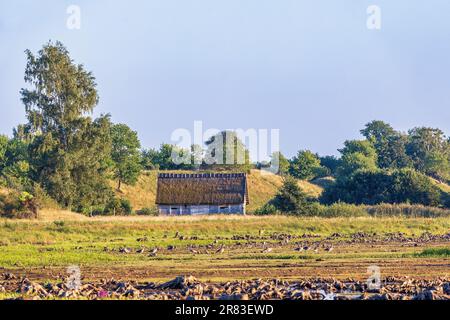 Scheune mit Strohdach auf einer Wiese mit Hügeln Stockfoto