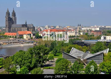 Magdeburg, Blick vom Aussichtsturm auf die Elbe, Magdeburger Kathedrale Stockfoto