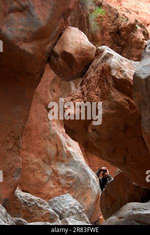 Ein Wanderer fotografiert einen eingeschlossenen Felsen in einer Schlucht der Dades, dem Hohen Atlas (Marokko) Stockfoto